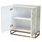 Baxton Studio Quintus Modern Bohemian Multicolor Mother of Pearl and Gold Metal Storage Cabinet 240-13473-ZORO - alternate 8